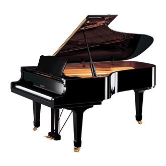 Yamaha C7 대여
