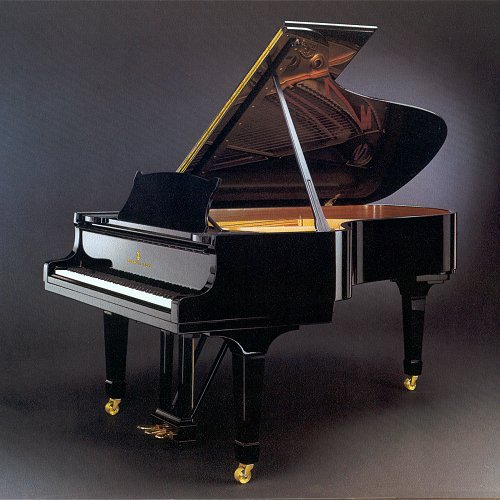 스타인웨이 L-180 대여