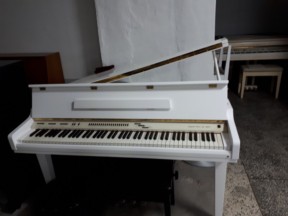삼익 SE900G 대여